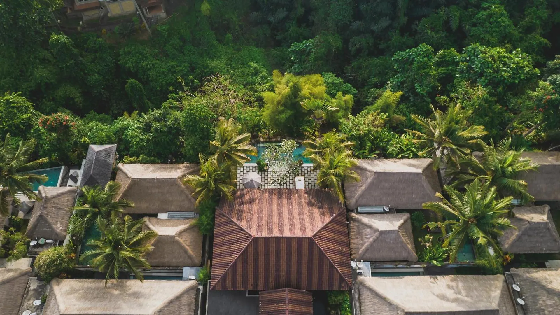 Luwak Ubud Villa Indonesia